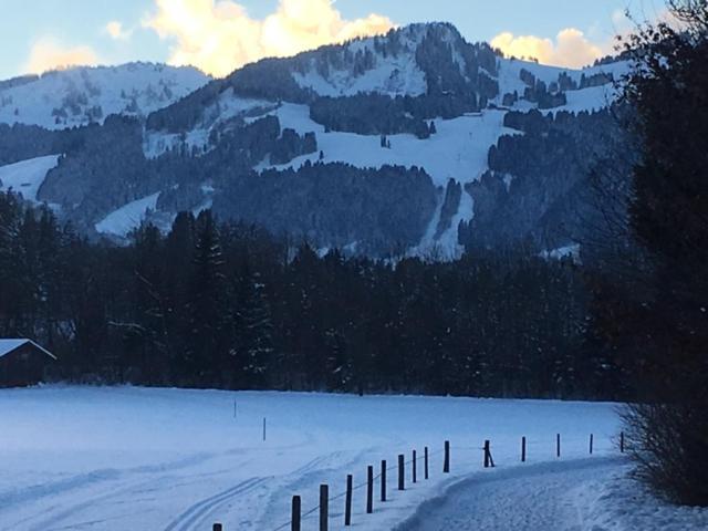 Alphirt Ferienwohnungen Fischen im Allgaeu Extérieur photo